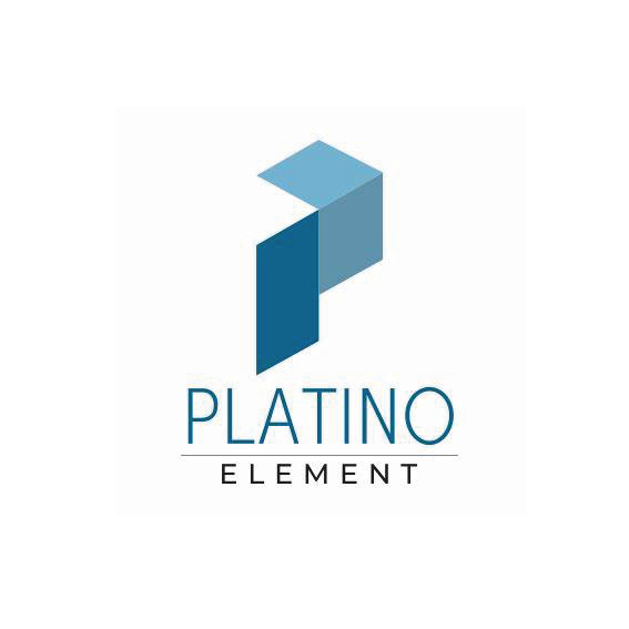 Logo paágina web Platino_Mesa de trabajo 1